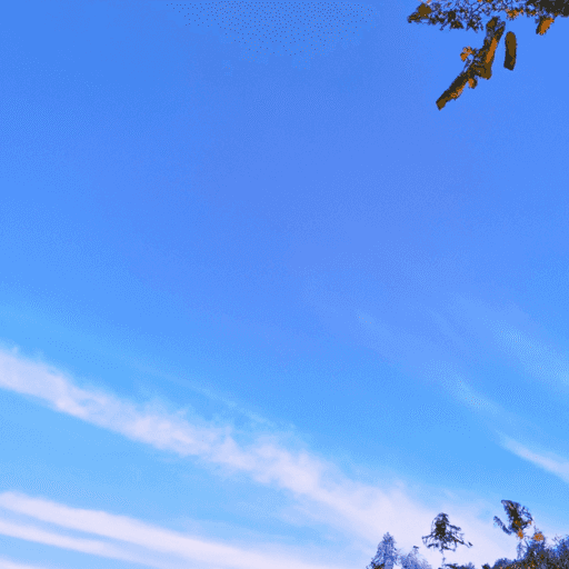 Memahami Kaitan Antara Polusi Udara dan Gangguan Pernapasan